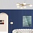 Минималистская потолочная люстра со стеклянными плафонами LURGIN 6 плафонов  фото 7
