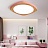 Светодиодные потолочные светильники в скандинавском эко стиле KANT 36 см  Розовый фото 11